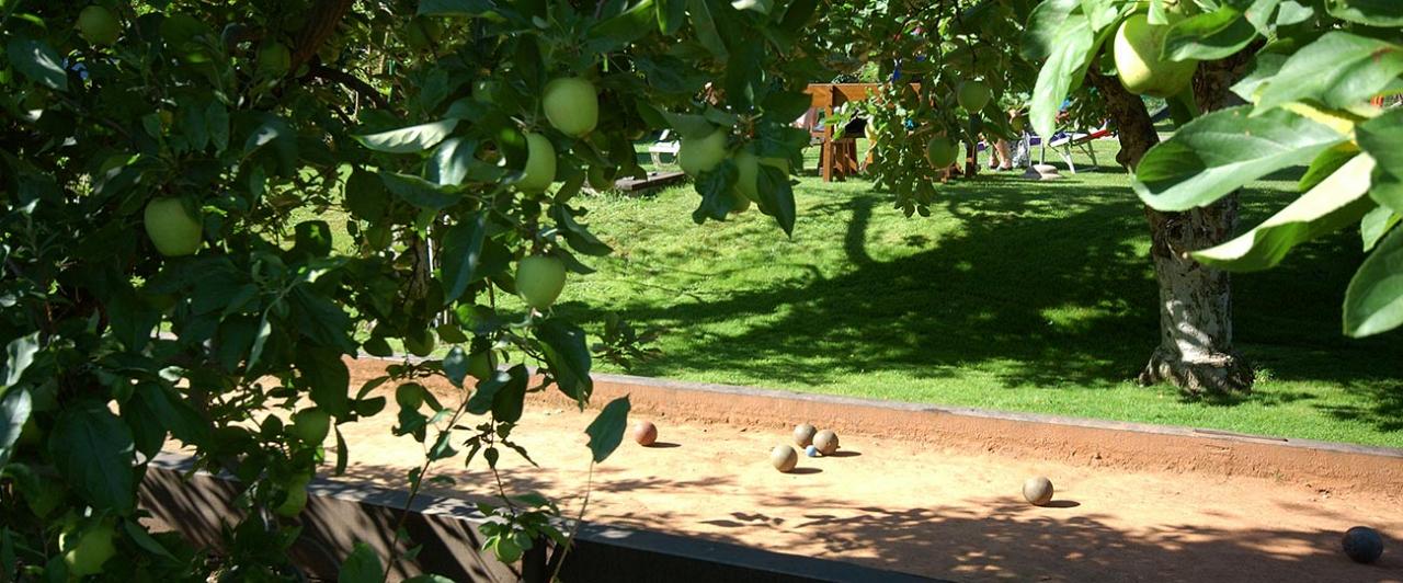 Blick auf den Apfelbaum und die Bocciabahn