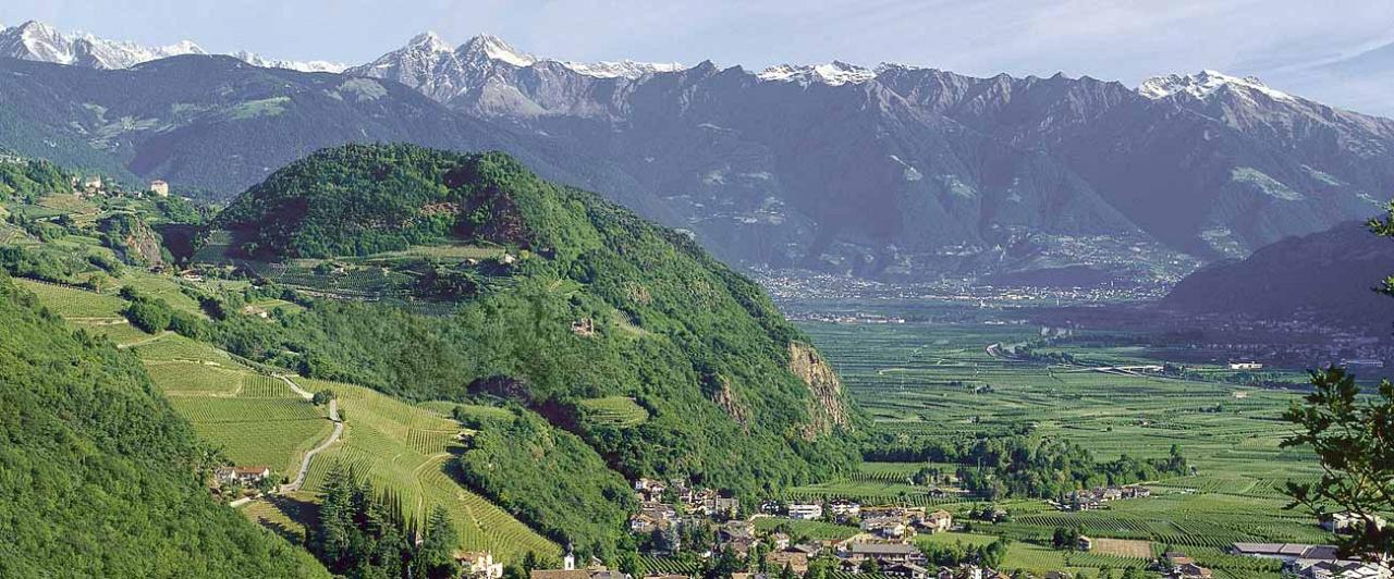 Il panorama estivo che si vede dall'Hotel Traubenheim