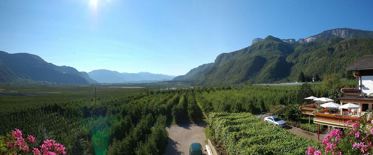 Grüne Landschaft in der Umgebung des Hotels und Residence Traubenheim von Nals