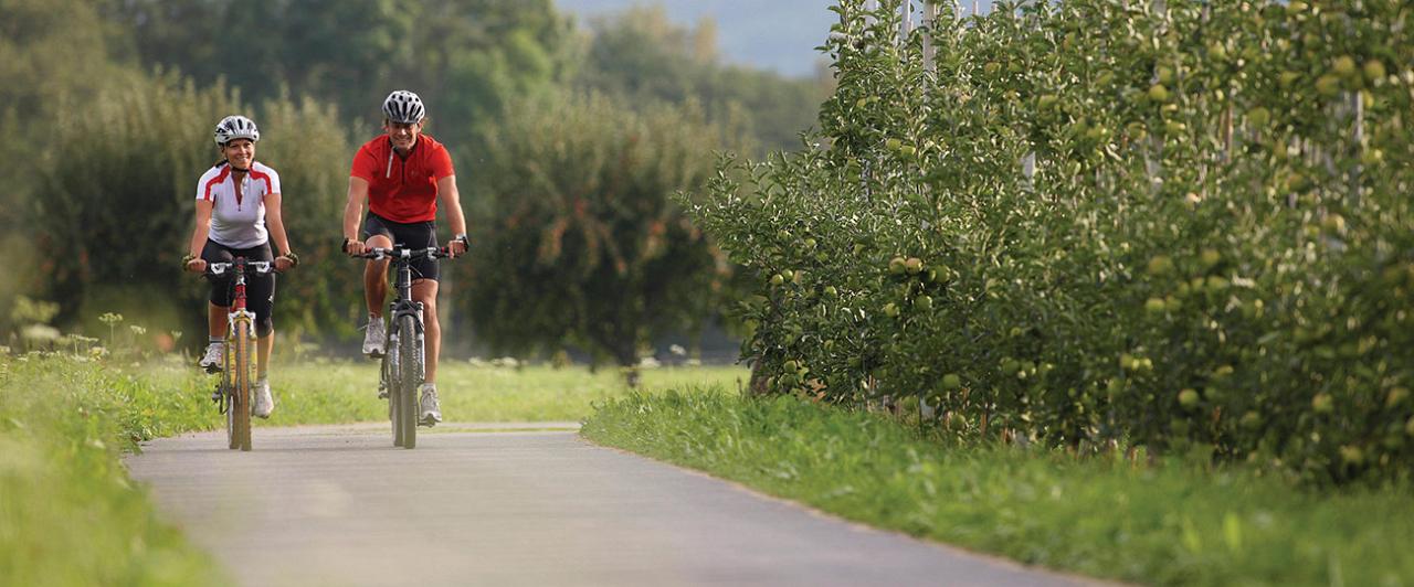 Passeggiata in mountain bike attraverso coltivazioni di mele