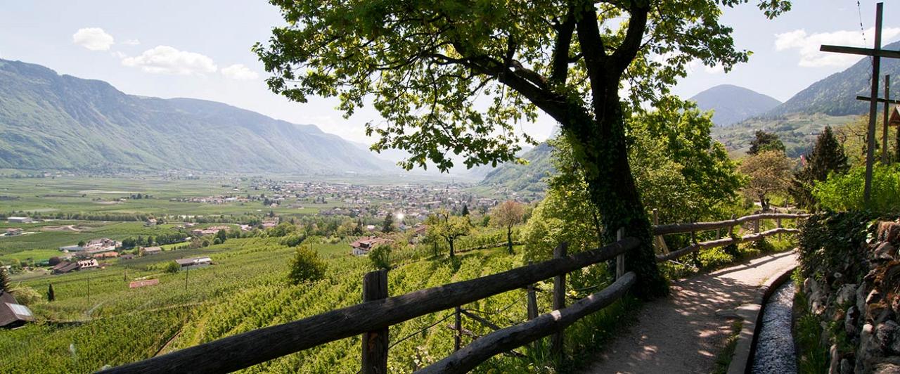 Wanderungen am Waalweg