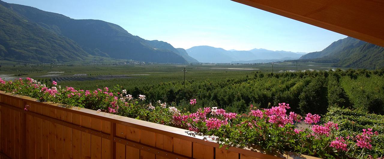 Vista dal balcone di una camera dell'Hotel e Residence Traubenheim di Nalles